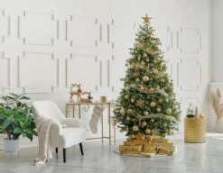 Holiday Living Green, Red And Gold Christmas Ornament Set 110/pk 10 Holiday Living Green, Red And Gold Christmas Ornament Set 110/pk -Northlight Paradise 05895261d L