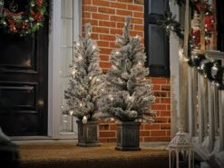 Holiday Living Set Of Two 4-ft Pre-Lit Frosted Porch Christmas Trees 9 Holiday Living Set Of Two 4-ft Pre-Lit Frosted Porch Christmas Trees -Northlight Paradise 17745124c L