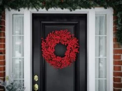 Holiday Living Christmas Wreath Berry Indoor Or Outdoor 24-in 9 Holiday Living Christmas Wreath Berry Indoor Or Outdoor 24-in -Northlight Paradise 17745184c L
