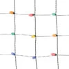 Sylvania 4-ft X 6-ft Warm White Color Changing LED Christmas Net Light -Northlight Paradise 22615125 L