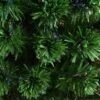 HomCom 5-ft Pre-Lit Full Green Artificial Christmas Tree With 24 Sparkling Multicoloured LED Lights And Fibre Optic 1 HomCom 5-ft Pre-Lit Full Green Artificial Christmas Tree With 24 Sparkling Multicoloured LED Lights And Fibre Optic -Northlight Paradise 330951221 AlternateImage3 l