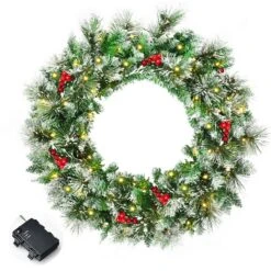 Costway 24-in Pre-Lit Indoor/Outdoor Battery-Operated Green Ornament Artificial Christmas Wreath With Warm White LED -Northlight Paradise 331054244 MainImage 001 l