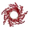Northlight 28-in Red Berries Artificial Christmas Wreath -Northlight Paradise 331054254 MainImage 001 l