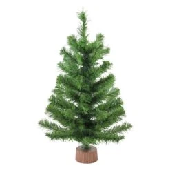 Northlight 24-in Mini Pine Medium Artificial Christmas Tree In Faux Wood Base - Unlit -Northlight Paradise 331054288 MainImage 001 l