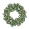 Northlight Snow Mountain Pine Artificial Christmas Wreath -Northlight Paradise 331054317 MainImage 001 l