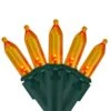 Northlight Set Of 50 Orange LED Mini Christmas Lights 4-in Spacing - Green Wire 2 Northlight Set Of 50 Orange LED Mini Christmas Lights 4-in Spacing - Green Wire -Northlight Paradise 331054330 MainImage 001 l