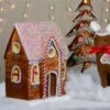 Northlight 14.5-in Christmas Gingerbread House 2 Northlight 14.5-in Christmas Gingerbread House -Northlight Paradise 331054340 AlternateImage1 l