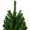 Northlight 6-ft Pre-Lit Slim Alpine Artificial Christmas Trees - Set Of 3 2 Northlight 6-ft Pre-Lit Slim Alpine Artificial Christmas Trees - Set Of 3 -Northlight Paradise 331054341 AlternateImage3 l