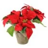 Northlight 10-in Red Poinsettia Artificial Christmas Floral Arrangement -Northlight Paradise 331054362 MainImage 001 l