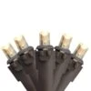 Northlight 50 Warm White LED Wide Angle Christmas Lights - 16.25-ft Brown Wire -Northlight Paradise 331054382 MainImage 001 l