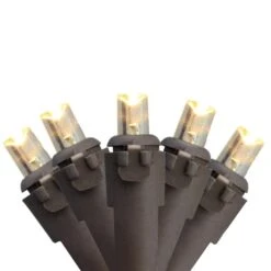 Northlight 50 Warm White LED Wide Angle Christmas Lights - 16.25-ft Brown Wire