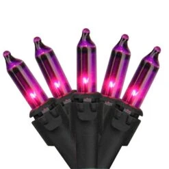 Northlight 50-Count Purple Mini Christmas Lights Set - 10-ft Black Wire -Northlight Paradise 331054399 MainImage 001 l