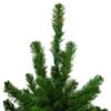 Northlight 5-ft Pre-Lit Slim Alpine Artificial Christmas Trees - Set Of 3 -Northlight Paradise 331054405 AlternateImage1 l