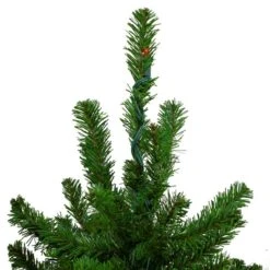 Northlight 5-ft Pre-Lit Slim Alpine Artificial Christmas Trees - Set Of 3
