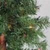 Northlight Set Of 3 Pre-Lit Slim Woodland Alpine Artificial Christmas Trees 5-ft -Northlight Paradise 331054463 AlternateImage1 l