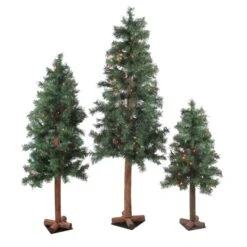 Northlight Set Of 3 Pre-Lit Slim Woodland Alpine Artificial Christmas Trees 5-ft -Northlight Paradise 331054463 MainImage 001 l