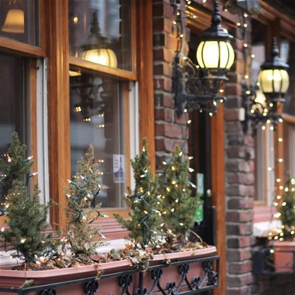 Northlight 35-Count Clear Mini Christmas Light Set - 7-ft Green Wire 3 Northlight 35-Count Clear Mini Christmas Light Set - 7-ft Green Wire