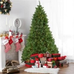 Northlight 7.5-ft Pre-Lit Full Pike River Fir Artificial Christmas Tree -Northlight Paradise 331054476 AlternateImage1 l