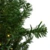 Northlight 7.5-ft Pre-Lit Full Pike River Fir Artificial Christmas Tree -Northlight Paradise 331054476 AlternateImage3 l