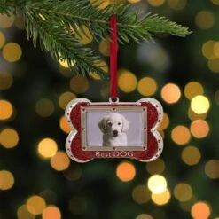Northlight 3-in Red And Silver-Plated Best Dog Bone Christmas Ornament -Northlight Paradise 331054508 AlternateImage1 l