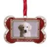 Northlight 3-in Red And Silver-Plated Best Dog Bone Christmas Ornament -Northlight Paradise 331054508 MainImage 001 l