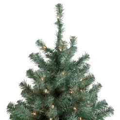 Northlight 7.5-ft Pre-Lit Colourado Blue Spruce Artificial Christmas Tree Clear Lights -Northlight Paradise 331054528 AlternateImage2 l