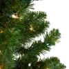 Northlight 5-ft Pre-Lit Medium Canadian Pine Artificial Christmas Tree Clear Lights 1 Northlight 5-ft Pre-Lit Medium Canadian Pine Artificial Christmas Tree Clear Lights -Northlight Paradise 331054541 AlternateImage1 l