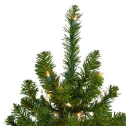 Northlight 5-ft Pre-Lit Medium Canadian Pine Artificial Christmas Tree Clear Lights -Northlight Paradise 331054541 AlternateImage2 l