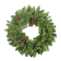 Northlight 24-in Noble Fir With Berries And Pine Cones Christmas Wreath -Northlight Paradise 331054573 MainImage 001 l