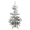 Northlight 4.5 Ft Pre-Lit Nordmann Fir Artificial Flocked Christmas Tree -Northlight Paradise 331054616 MainImage 001 l