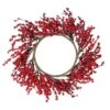 Northlight 22-in Red Berries Artificial Christmas Wreath 2 Northlight 22-in Red Berries Artificial Christmas Wreath -Northlight Paradise 331054626 MainImage 001 l