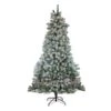 Northlight 7.5-ft Pre-Lit Full Winema Pine Flocked Artificial Christmas Tree - Clear Lights -Northlight Paradise 331054627 MainImage 001 l