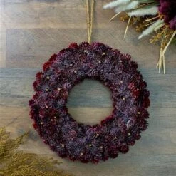 Northlight Burgundy Red Glittered Pine Cone Christmas Wreath -Northlight Paradise 331054659 AlternateImage1 l