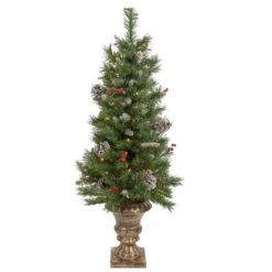 Northlight 5-Piece Pre-Lit Frosted Verona Berry Pine Artificial Christmas Entryway Set -Northlight Paradise 331054683 AlternateImage1 l