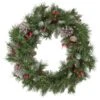Northlight 5-Piece Pre-Lit Frosted Verona Berry Pine Artificial Christmas Entryway Set -Northlight Paradise 331054683 AlternateImage2 l