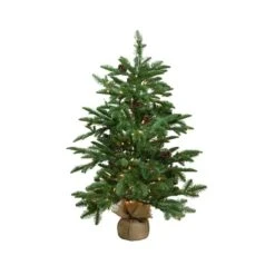 Northlight 3-ft X 28-in Pre-Lit Viella Norway Spruce Artificial Christmas Tree -Northlight Paradise 331054734 MainImage 001 l