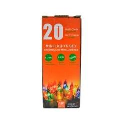 IH Casa Decor 20-Light 6.29-ft Multicolour Indoor Mini Christmas String Lights