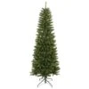 Santa's Workshop 6.5-ft Green Artificial Christmas Tree -Northlight Paradise 331058116 MainImage 001 l