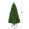 Costway 4-ft Pre-Lit Artificial Christmas Tree Premium Hinged With 100 LED Lights And Stand 1 Costway 4-ft Pre-Lit Artificial Christmas Tree Premium Hinged With 100 LED Lights And Stand -Northlight Paradise 331060007 AlternateImage1 l