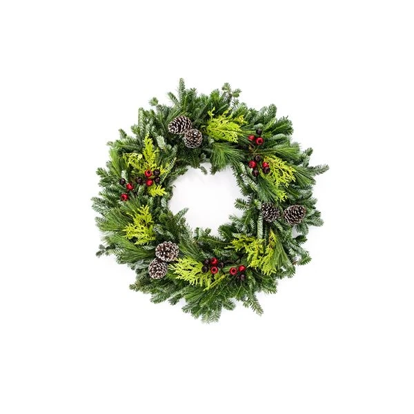 Brookdale Treeland Nurseries 28-in Fresh Christmas Wreath - Set Of 2 6 Brookdale Treeland Nurseries 28-in Fresh Christmas Wreath - Set Of 2 - Image 4