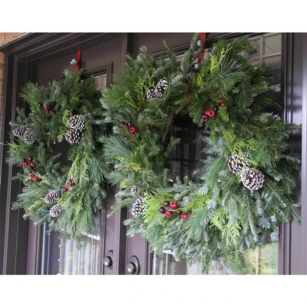 Brookdale Treeland Nurseries 28-in Fresh Christmas Wreath - Set Of 2 5 Brookdale Treeland Nurseries 28-in Fresh Christmas Wreath - Set Of 2 - Image 3