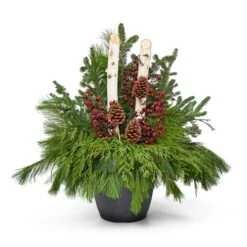 Brookdale Treeland Nurseries 36-in Christmas Decorative Basket For 2 Arrangements 10 Brookdale Treeland Nurseries 36-in Christmas Decorative Basket For 2 Arrangements -Northlight Paradise 331063540 AlternateImage2 l