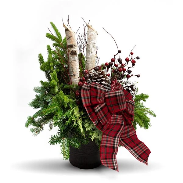 Brookdale Treeland Nurseries 30-in Christmas Potted Greenery Arrangement 4 Brookdale Treeland Nurseries 30-in Christmas Potted Greenery Arrangement - Image 2