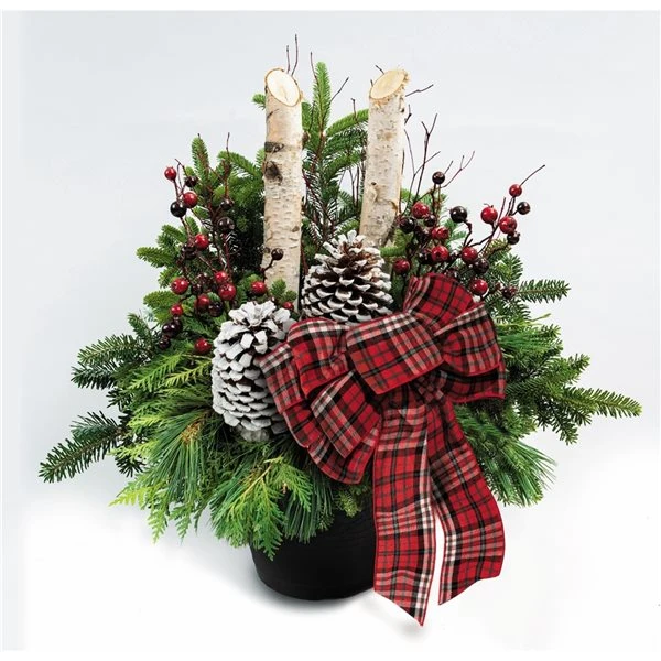 Brookdale Treeland Nurseries 30-in Christmas Potted Greenery Arrangement 5 Brookdale Treeland Nurseries 30-in Christmas Potted Greenery Arrangement - Image 3
