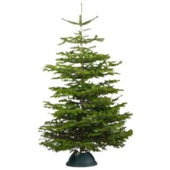 Super Grip 4.7-in Plastic Tree Stand For 9-ft Christmas Tree -Northlight Paradise 331064390 AlternateImage4 l