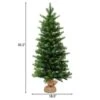 Costway 3-ft Pre-Lit Spruce Tabletop Christmas Tree Battery Operated With Lights And Timer -Northlight Paradise 331065167 AlternateImage1 l