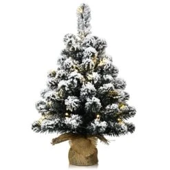 Costway 24-in Pre-Lit Snow Flocked Tabletop Christmas Tree Decor With 30 LED Lights And Timer -Northlight Paradise 331065184 MainImage 001 l