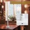 Costway 2-ft Pre-Lit White Twig Birch Tree Battery Powered For Christmas Holiday