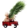 Tropi Co 22-in Pickup Decor And Live Mini Christmas Tree 1 Tropi Co 22-in Pickup Decor And Live Mini Christmas Tree -Northlight Paradise 331065422 AlternateImage1 l