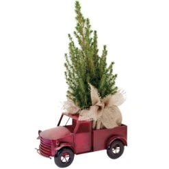 Tropi Co 22-in Pickup Decor And Live Mini Christmas Tree -Northlight Paradise 331065422 MainImage 001 l
